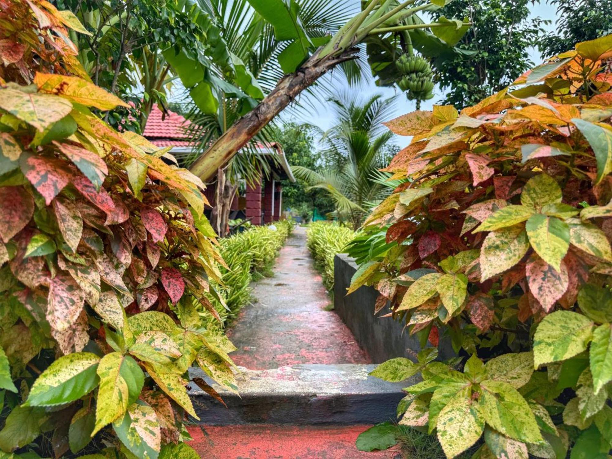 White Truffle Resort, อารัมบล ภายนอก รูปภาพ